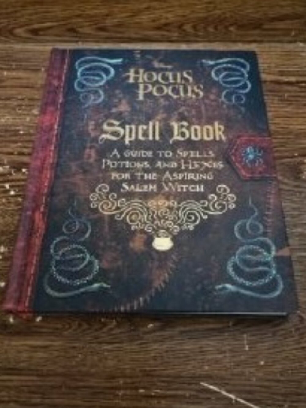 The Hocus Pocus Spell Book by Eric Geron (2022, Hardcover)